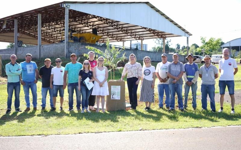 1.000 ÁRVORES URBANAS