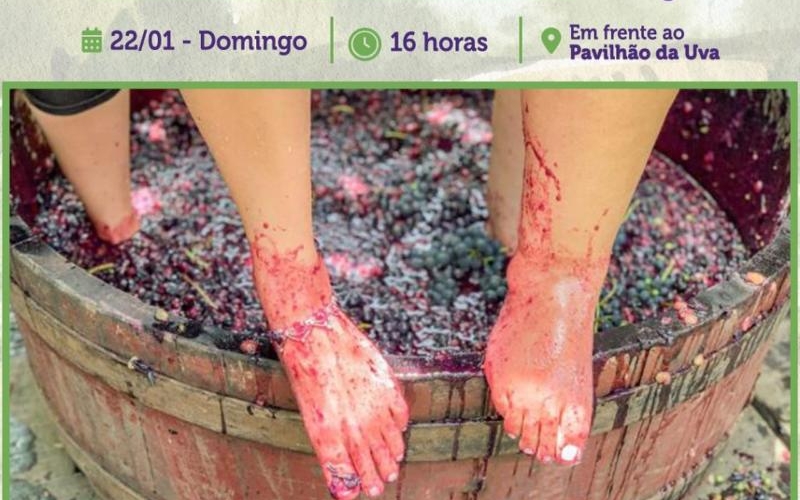 Primeira Pisa da Uva, no domingo dia 22-01-2023 na Festa da Uva de Mariopolis!