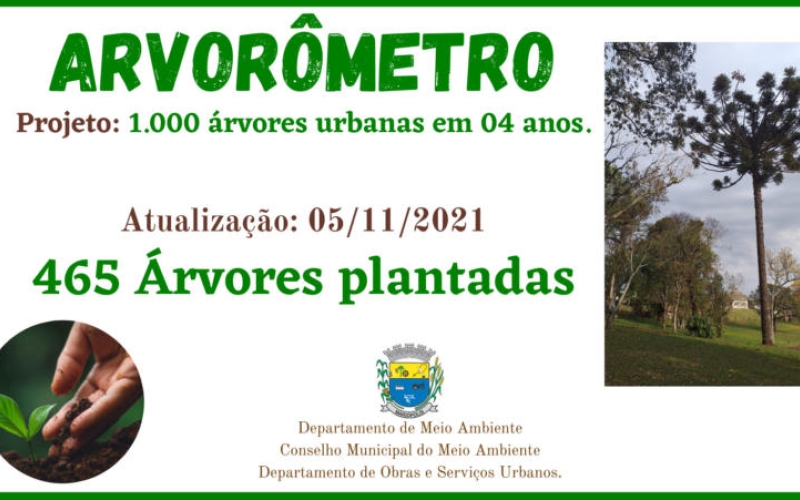 PROJETO: 1.000 ÁRVORES EM AÇÃO!