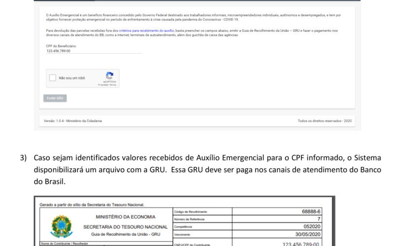 Instruções - Devolução Auxilio Emergencial