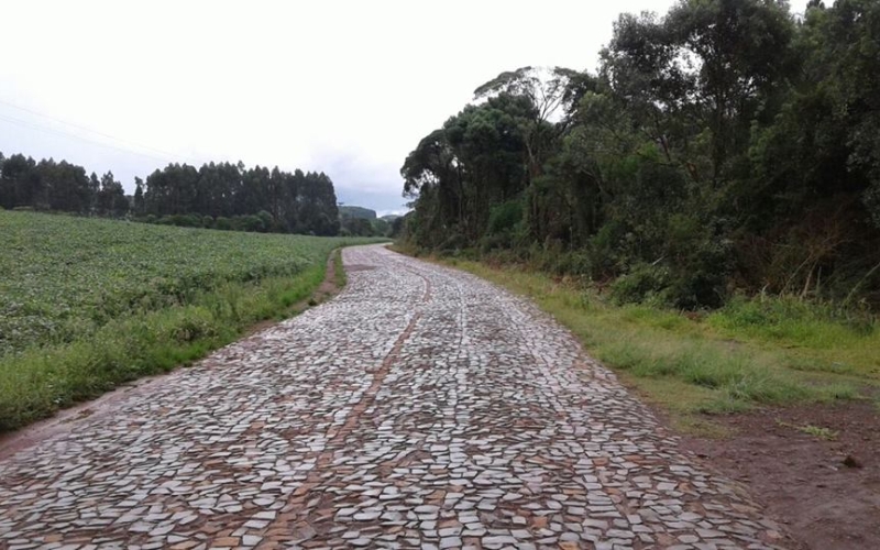 Para facilitar a passagem das maquinas agrícolas, uma poda de árvores foi realizada nas estradas do interior do municípi