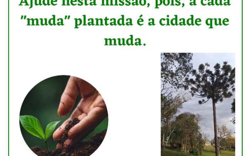 PROJETO SOCIOAMBIENTAL - 1000 ÁRVORES URBANAS