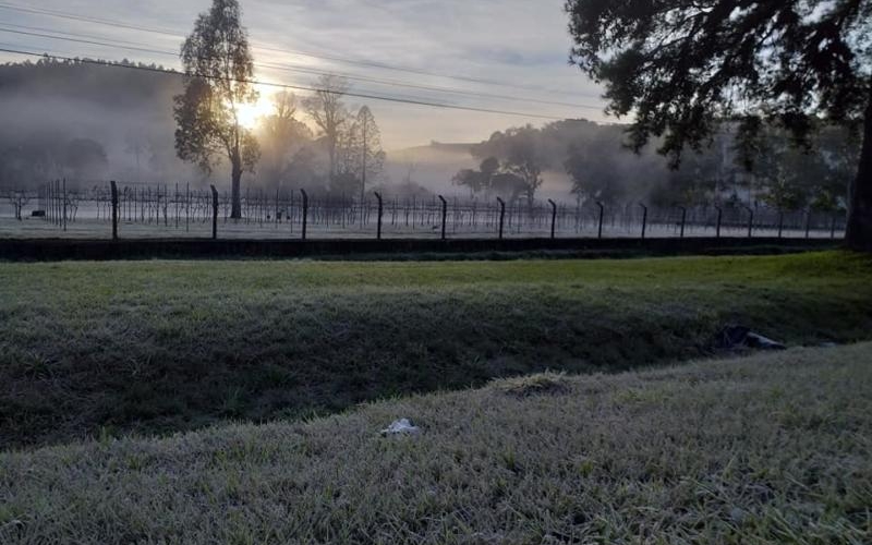 Bom dia Mariópolis !!