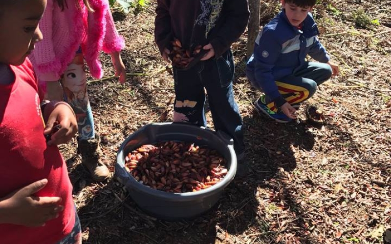 Merendeira do CMEI Cantinho Feliz participa do concurso Melhores Receitas da Alimentação Escolar